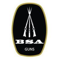 Armi rigate e carabine libera vendita BSA