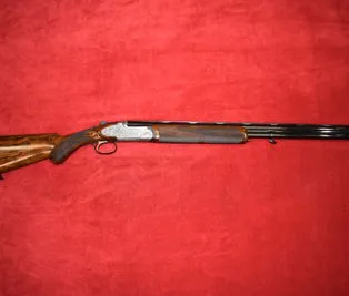 RIZZINI ARTEMIS S.A. cal.28