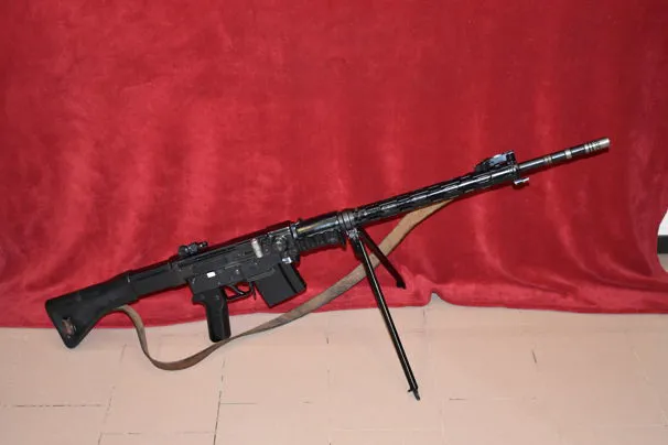 SIG mod. SG 510-1