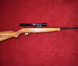 BERETTA , SPORT , 22LR