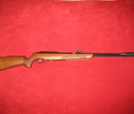 CARABINA , ARIA , COMPRESSA , LIBERA , VENDITA , GAMO , CFX , F SAT