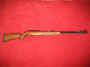 CARABINA ARIA COMPRESSA LIBERA VENDITA GAMO CFX F SAT