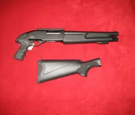 PALLAS , HOME , DEFENCE